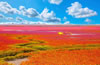 紅海灘