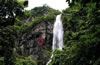 三百山景區(qū)