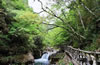 三百山景區(qū)