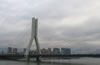 麗水市美景