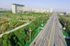 仙桃市美景