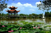 潛江市返灣湖