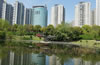 六安市美景