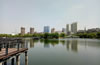 六安市美景