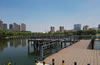 六安市美景